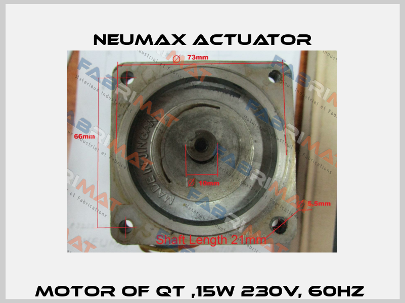 Motor of QT ,15W 230V, 60Hz  Neumax Actuator