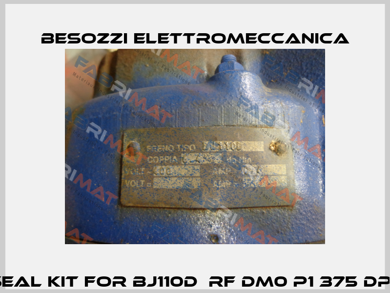 seal kit for BJ110D  RF DM0 P1 375 DP   Besozzi Elettromeccanica