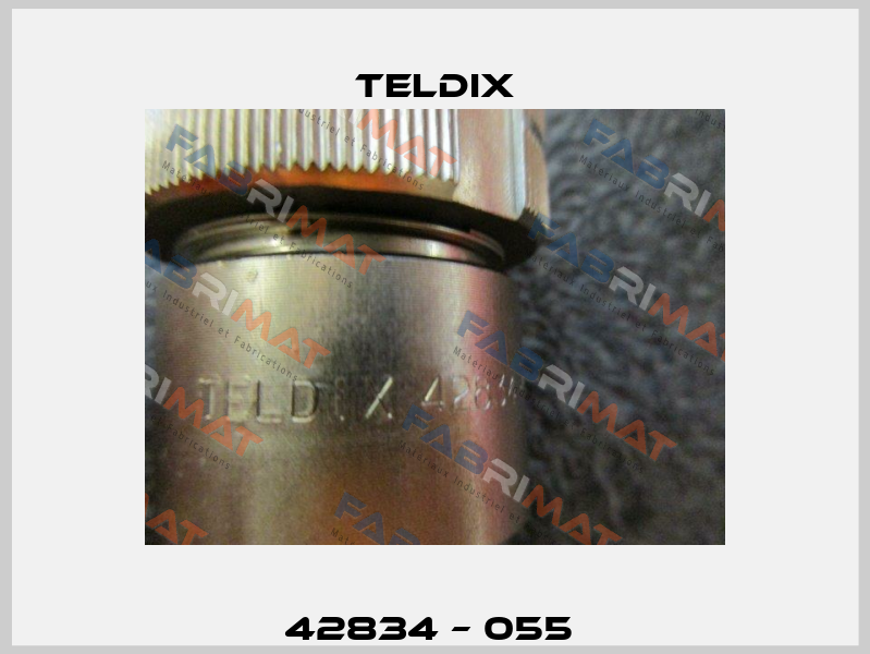 42834 – 055  Teldix