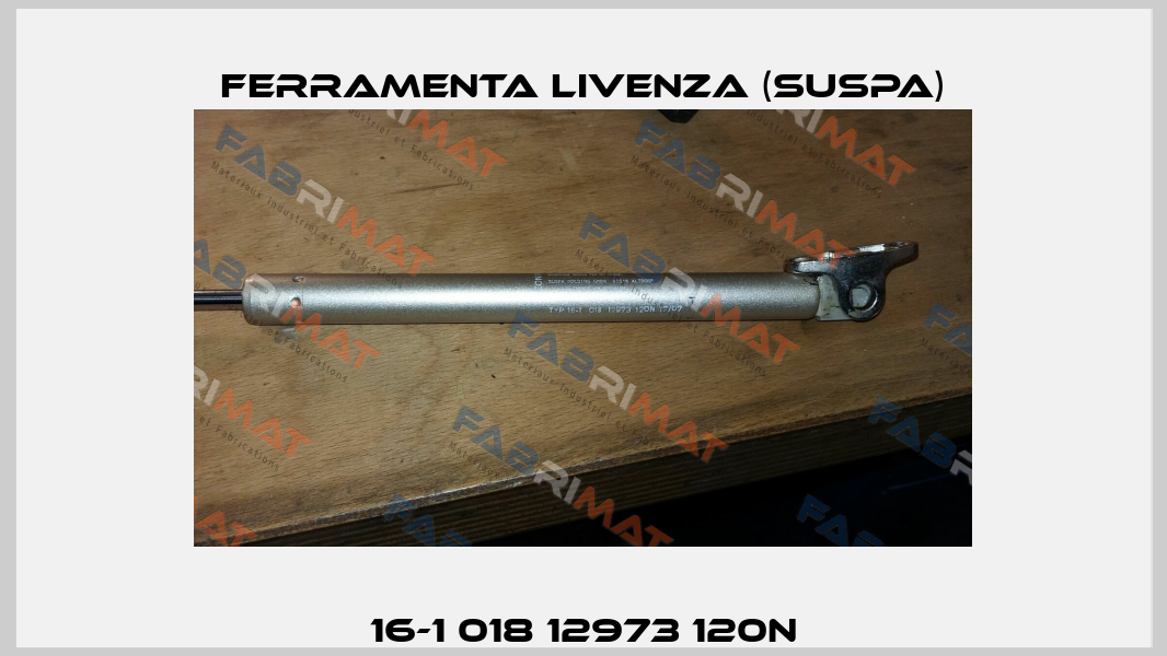 16-1 018 12973 120N Ferramenta Livenza (Suspa)