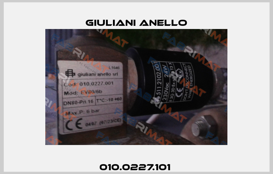 010.0227.101  Giuliani Anello