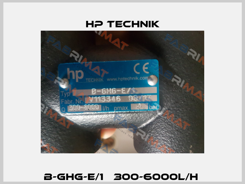 B-GHG-E/1   300-6000l/h  HP Technik
