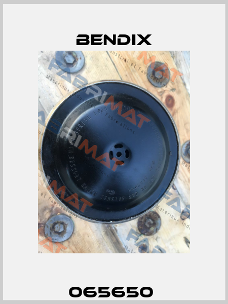 065650  Bendix