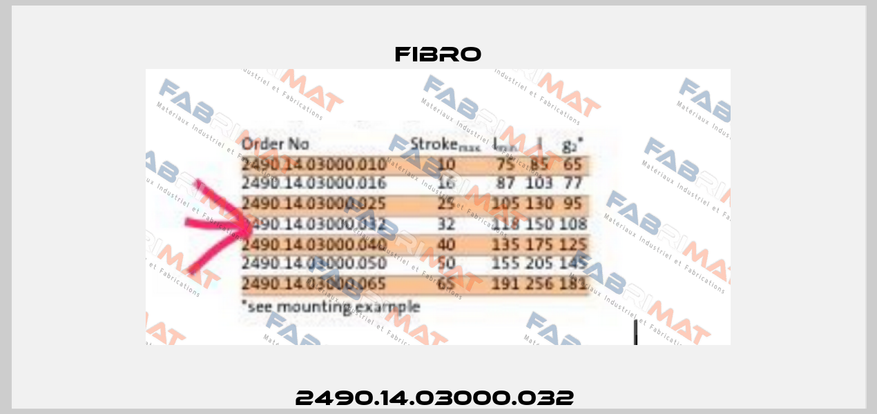 2490.14.03000.032  Fibro