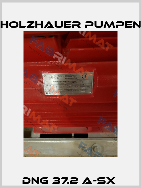 DNG 37.2 A-SX  Holzhauer Pumpen