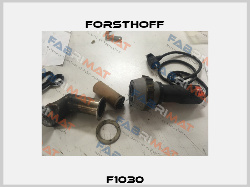  F1030  Forsthoff