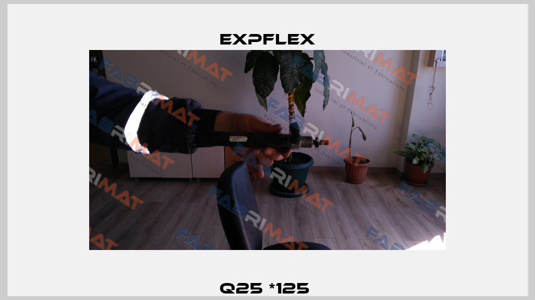 Q25 *125  EXPFLEX