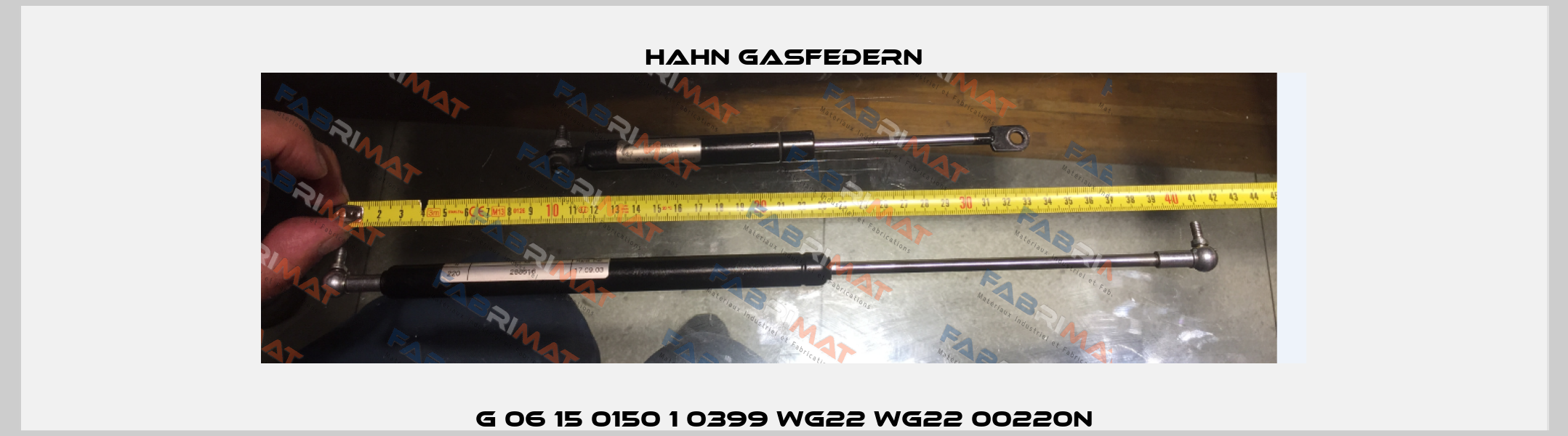 G 06 15 0150 1 0399 WG22 WG22 00220N Hahn Gasfedern
