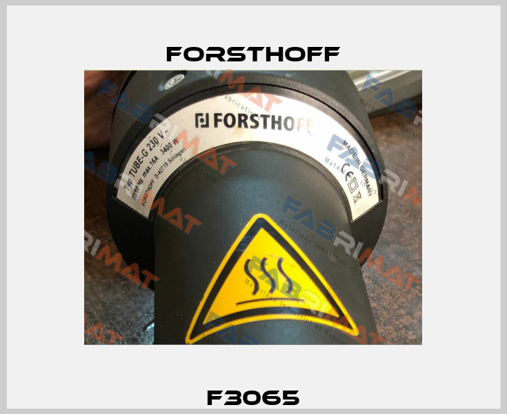 F3065  Forsthoff