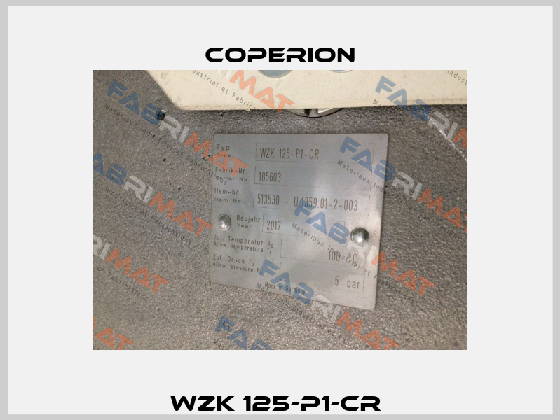WZK 125-P1-CR  Coperion