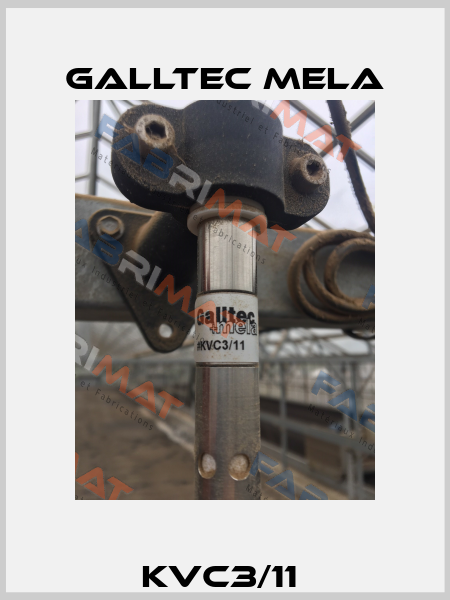 KVC3/11  Galltec Mela
