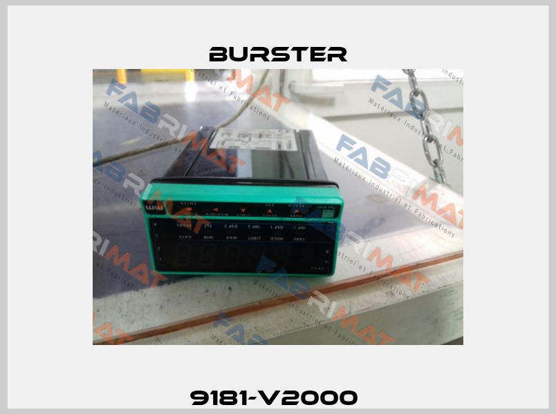 9181-V2000  Burster