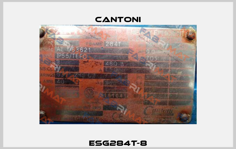 ESg284T-8 Cantoni
