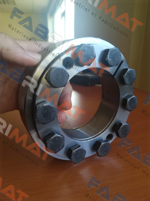 4200-075801-000002 Ringspann