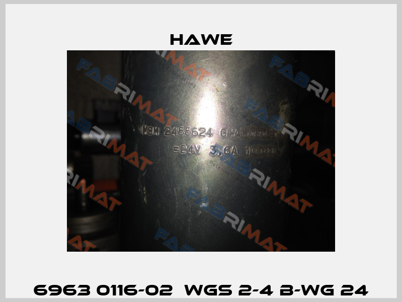 6963 0116-02  WGS 2-4 B-WG 24 Hawe