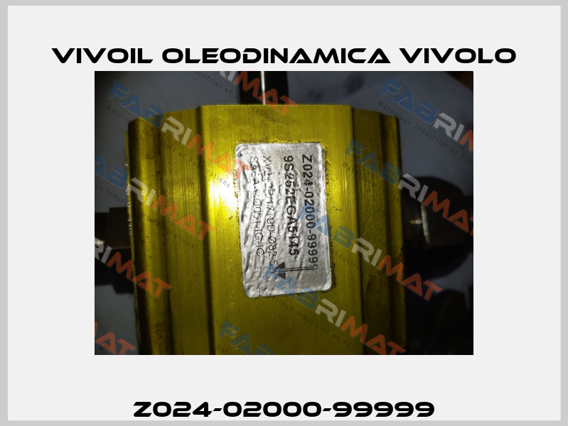Z024-02000-99999 Vivoil Oleodinamica Vivolo