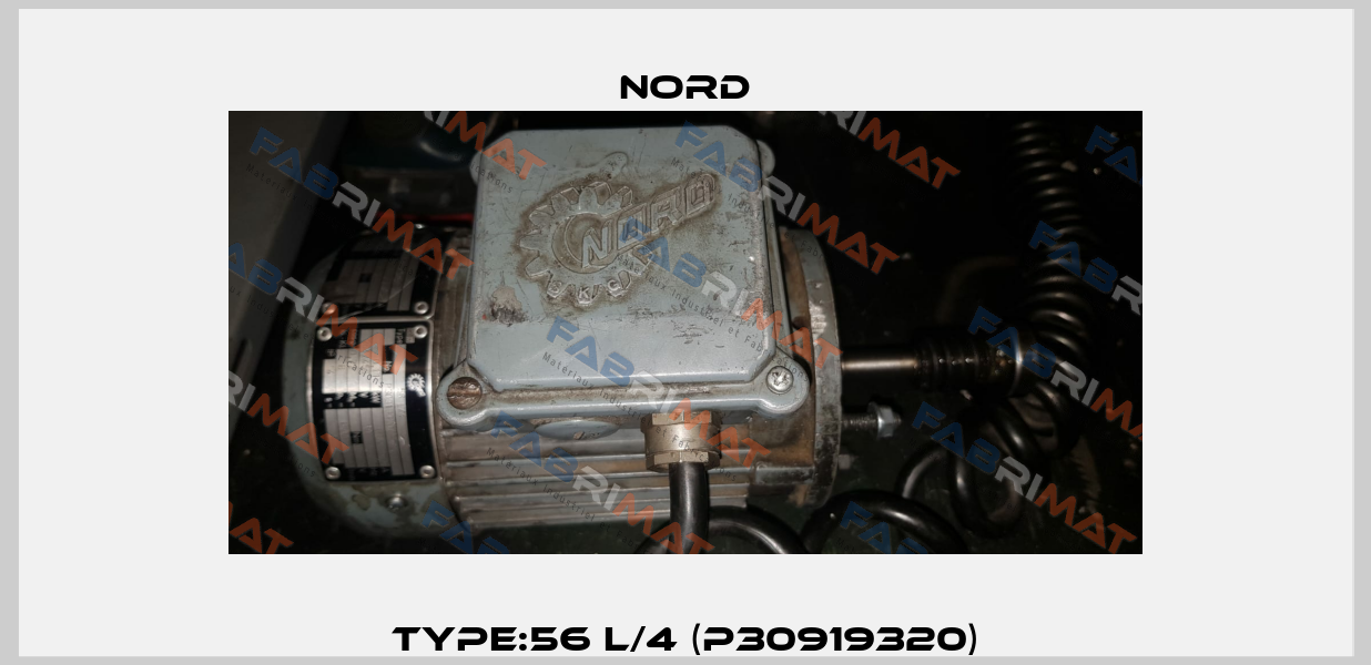 Type:56 L/4 (P30919320) Nord