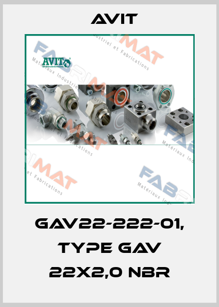 GAV22-222-01, type GAV 22x2,0 NBR Avit