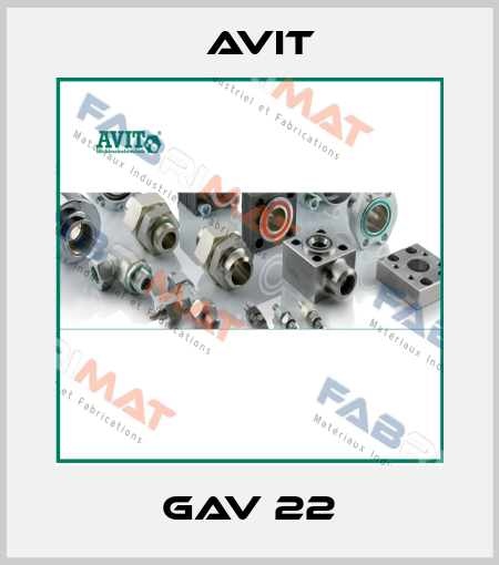 GAV 22 Avit