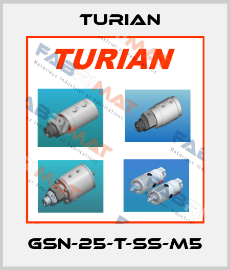 GSN-25-T-SS-M5 Turian