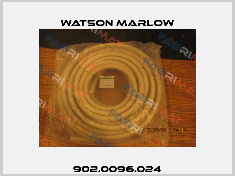 902.0096.024 Watson Marlow