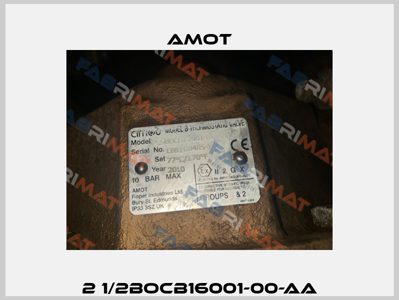 2 1/2BOCB16001-00-AA Amot
