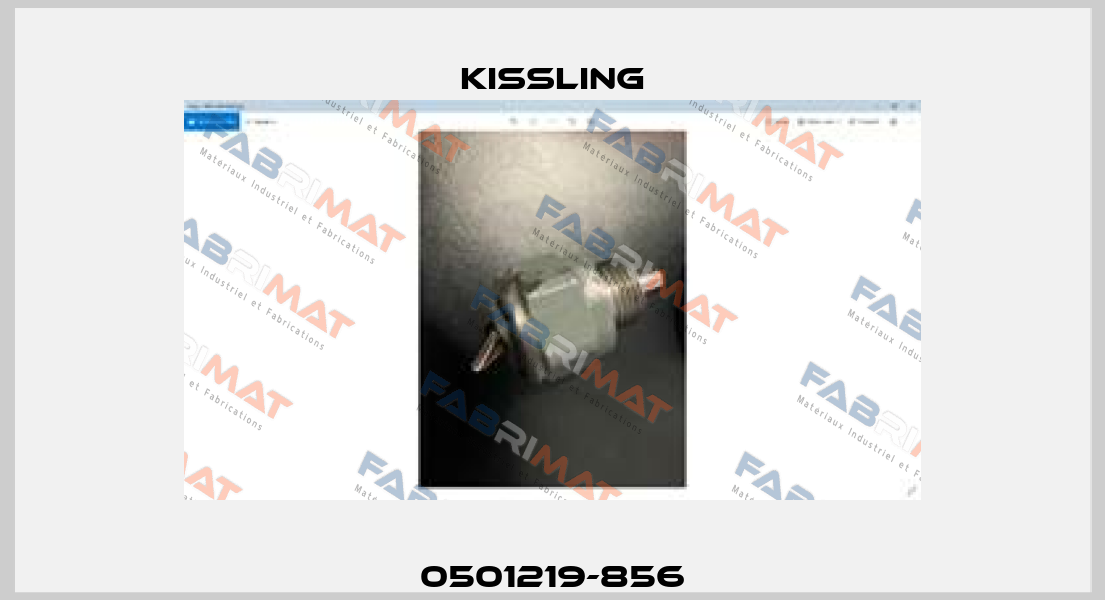 0501219-856 Kissling