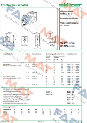 H263-41300-033V4 Salzer