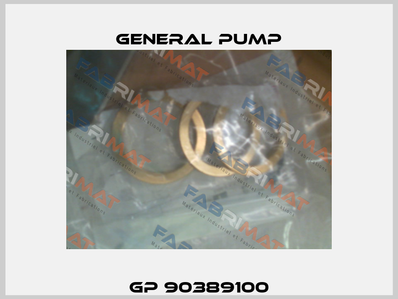GP 90389100 General Pump