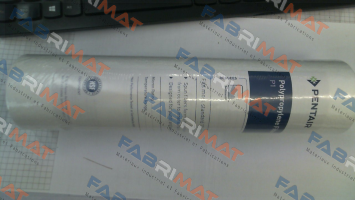 PN: 155225-43 Type: P1 9 7/8" Pentek (Pentair)