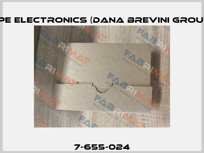 7-655-024 BPE Electronics (Dana Brevini Group)
