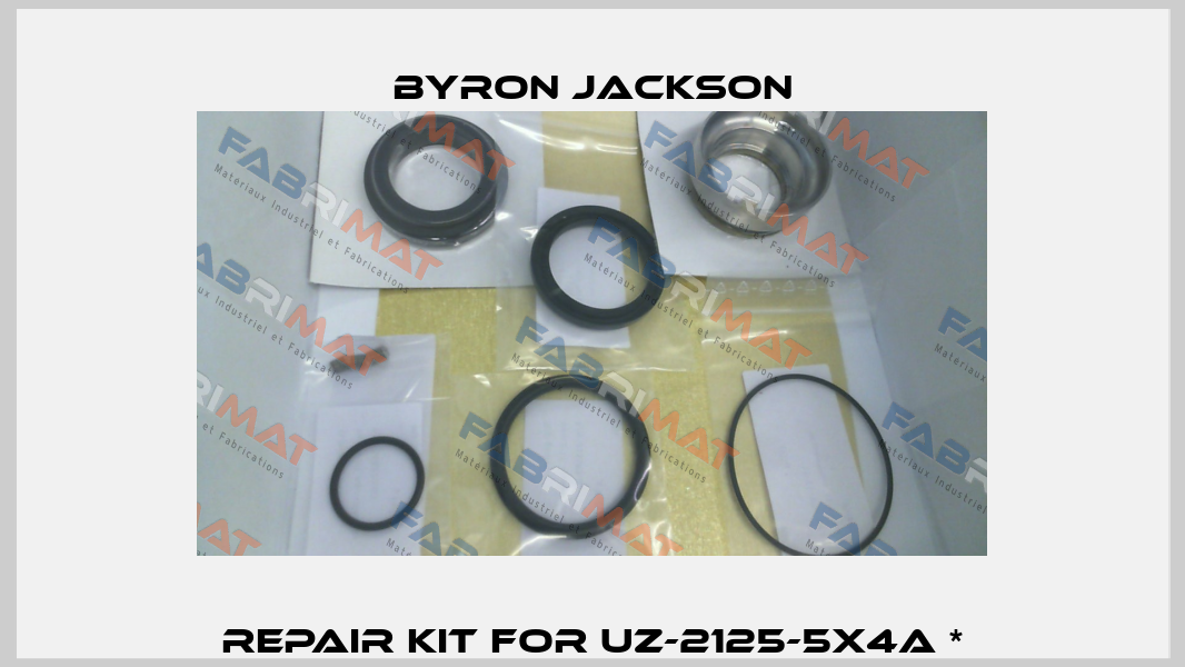 Repair kit for UZ-2125-5X4A * Byron Jackson