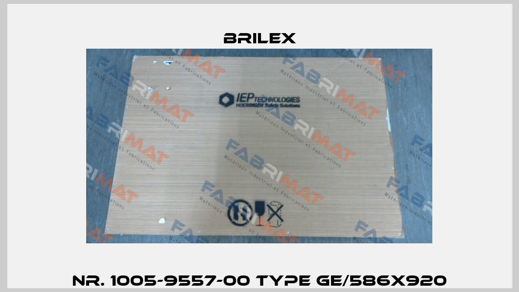 Nr. 1005-9557-00 Type GE/586X920 Brilex