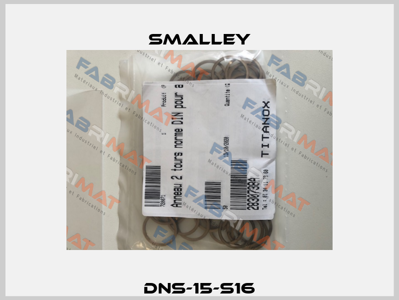 DNS-15-S16 SMALLEY