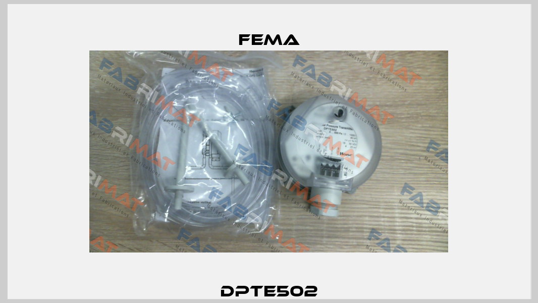 DPTE502 FEMA