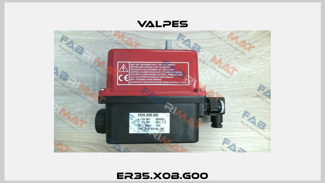 ER35.X0B.G00 Valpes