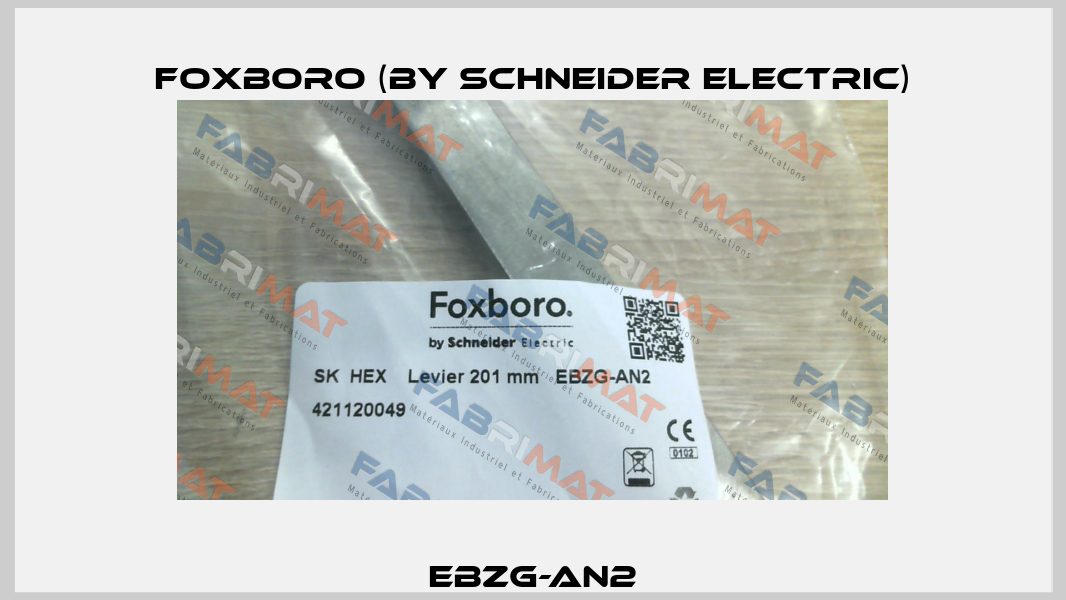 EBZG-AN2 Foxboro (by Schneider Electric)