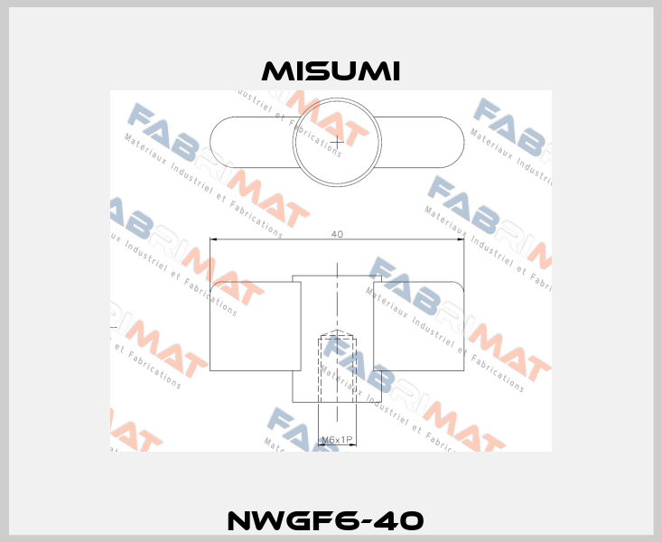 NWGF6-40  Misumi