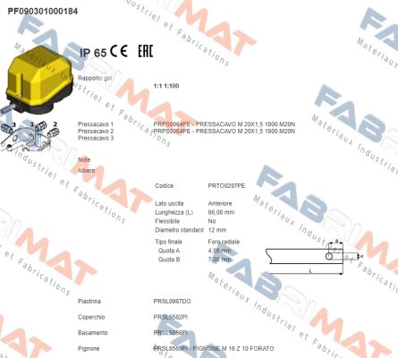 PF090301000184 Ter Tecno Elettrica Ravasi