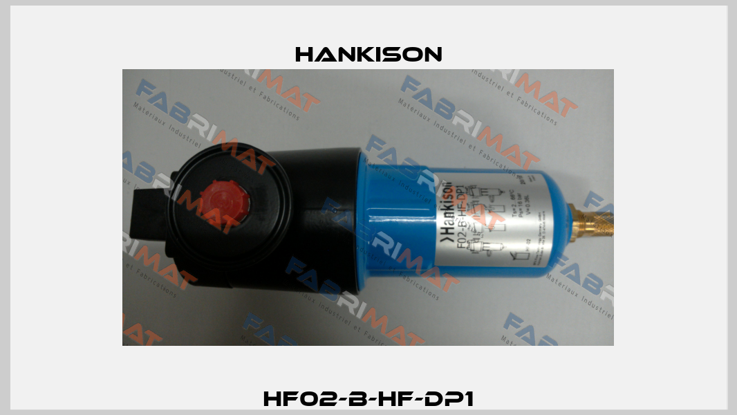 HF02-B-HF-DP1 Hankison
