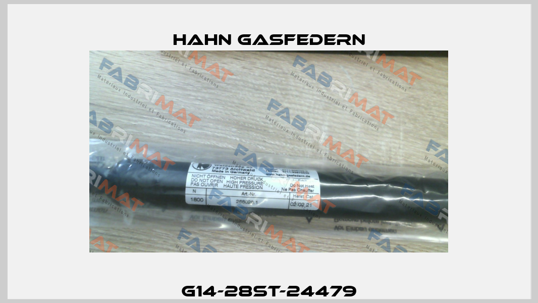 G14-28ST-24479 Hahn Gasfedern