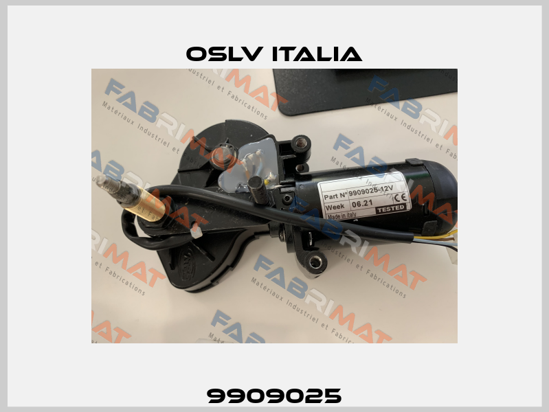 9909025 OSLV Italia
