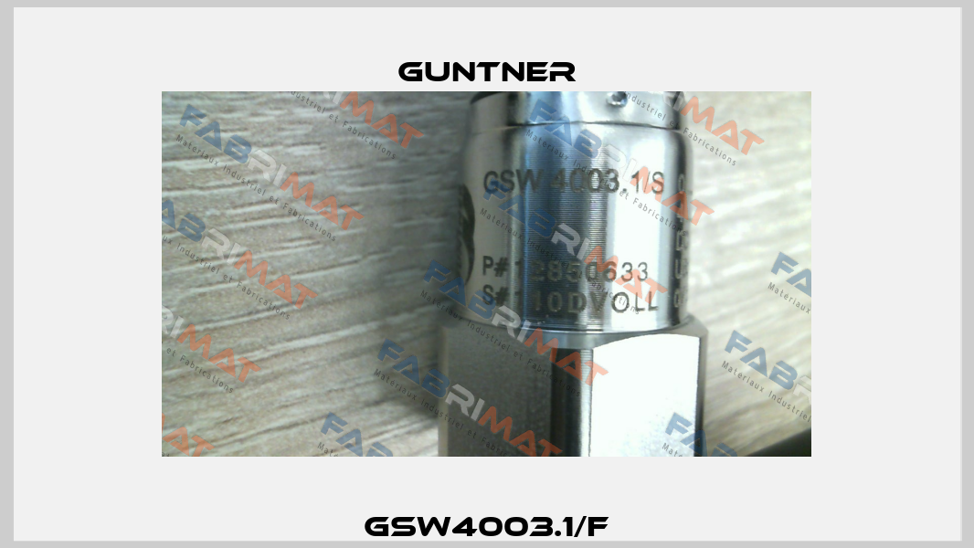 GSW4003.1/F Guntner