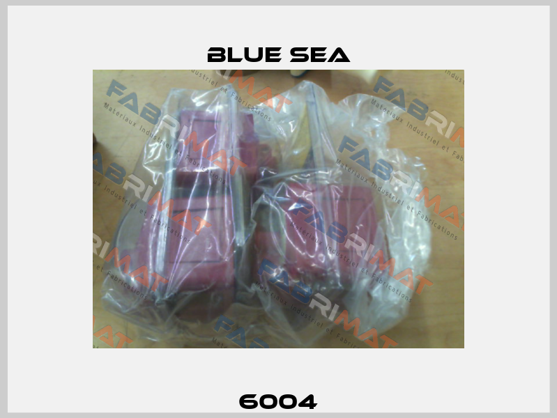 6004 Blue Sea