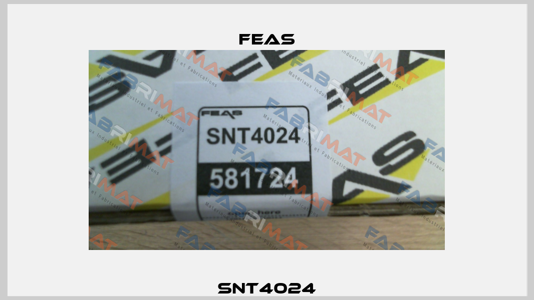 SNT4024 Feas