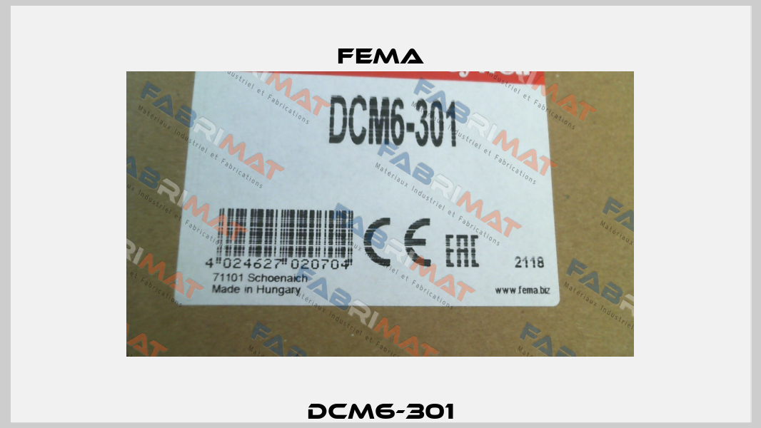 DCM6-301 FEMA