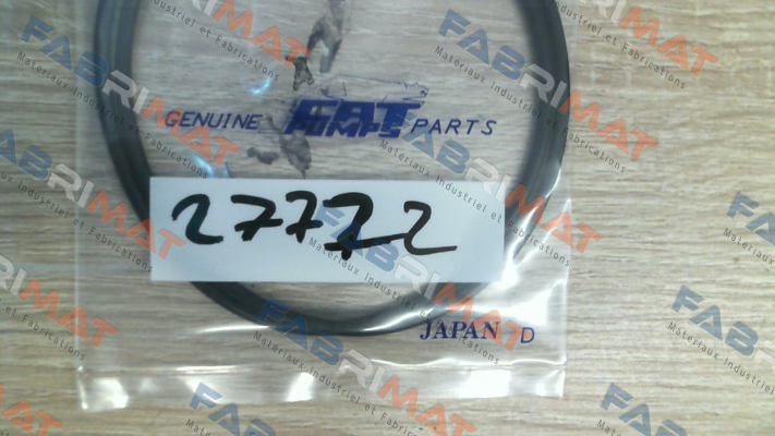 27772 Cat Pumps