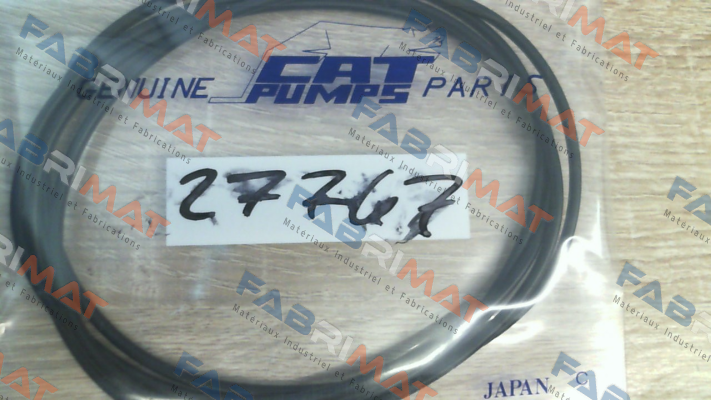 27767 Cat Pumps
