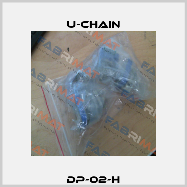 DP-02-H U-chain