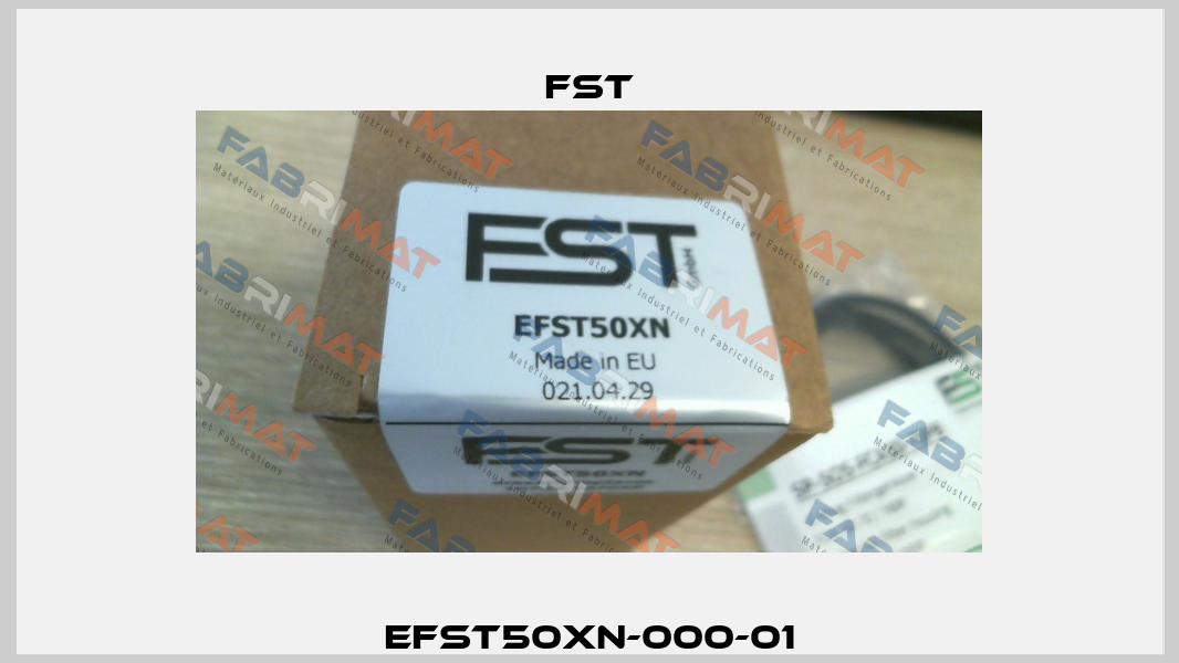 EFST50XN-000-01 FST GmbH Filtrations-Separations-Technik